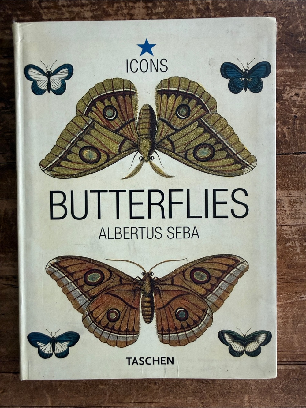 TASCHEN Butterflies Book by Albertus Seba - 2004 Italy